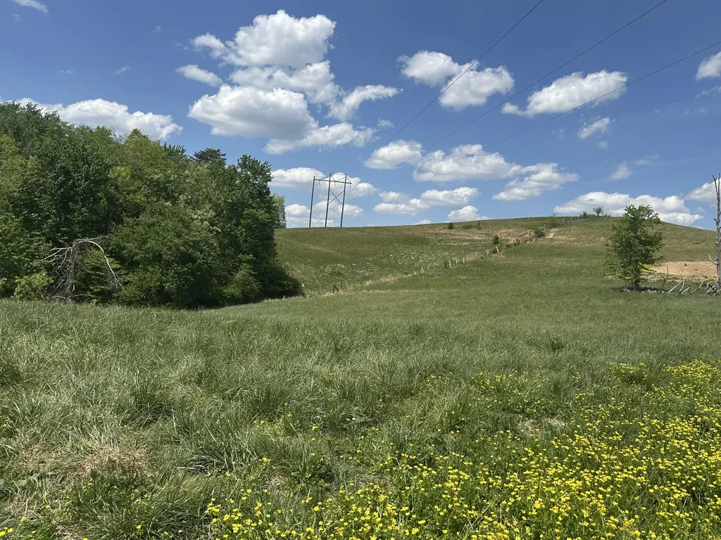 1090 Pittsburg Landing London KY 40741