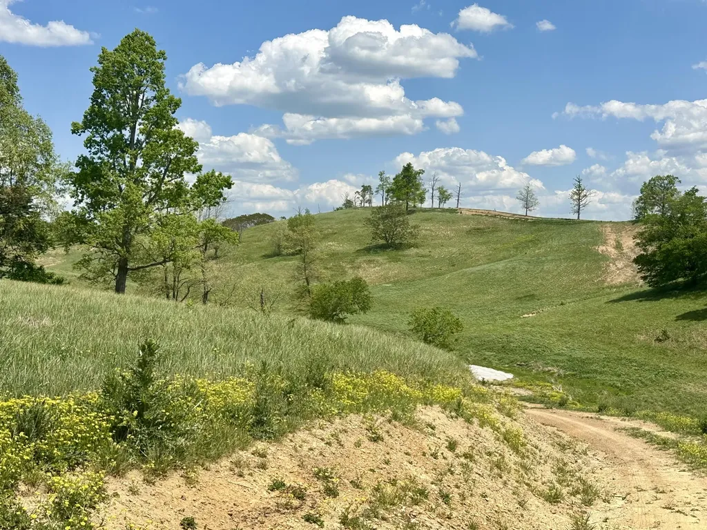 1090 Pittsburg Landing London KY 40741