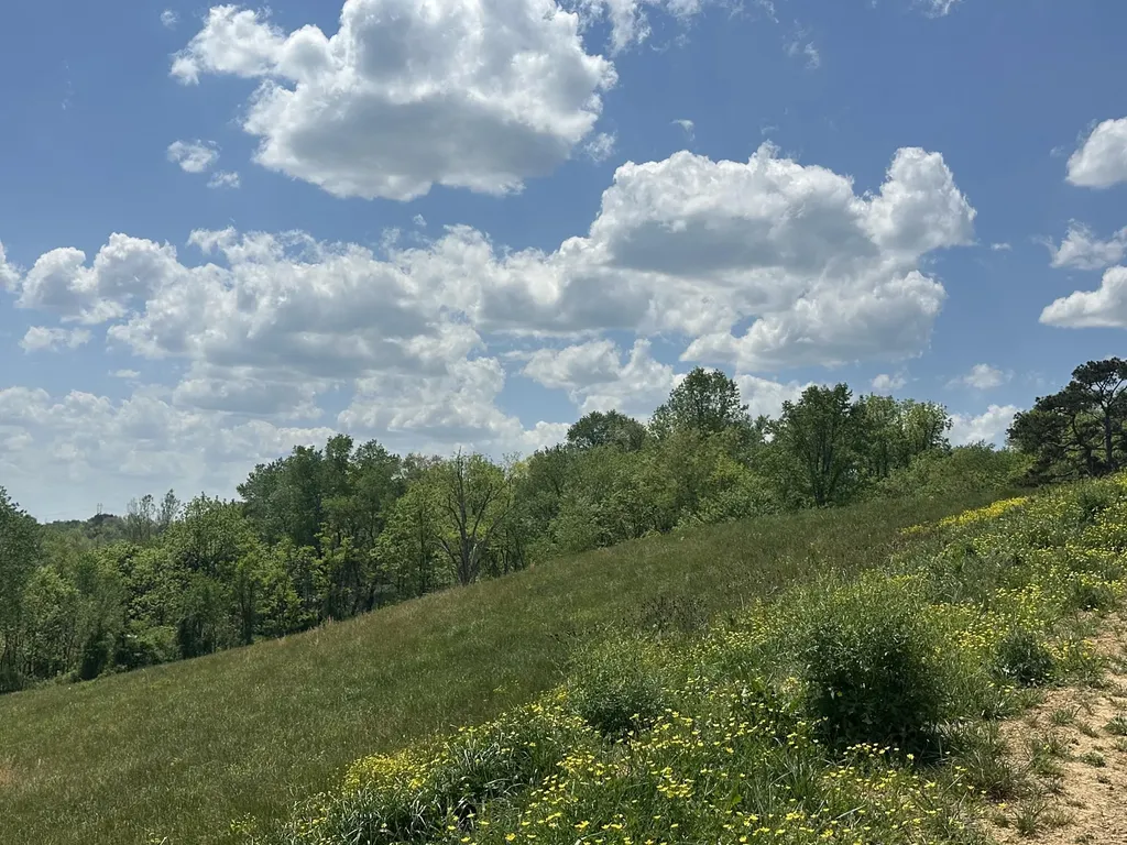 1090 Pittsburg Landing London KY 40741