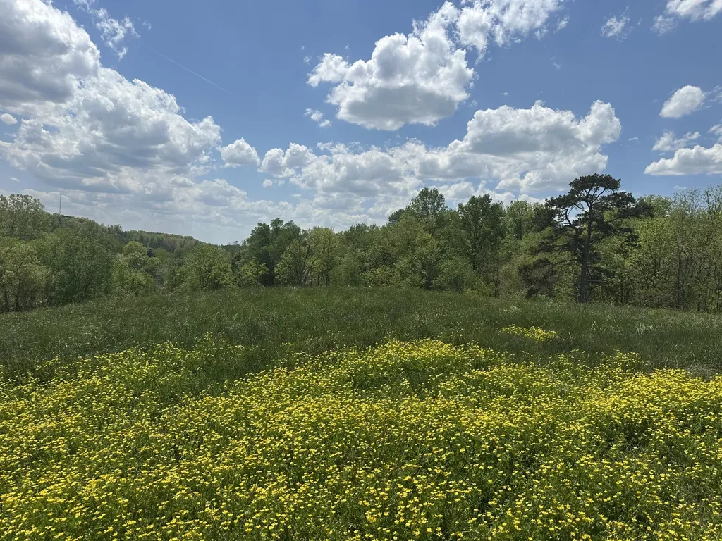 1090 Pittsburg Landing London KY 40741