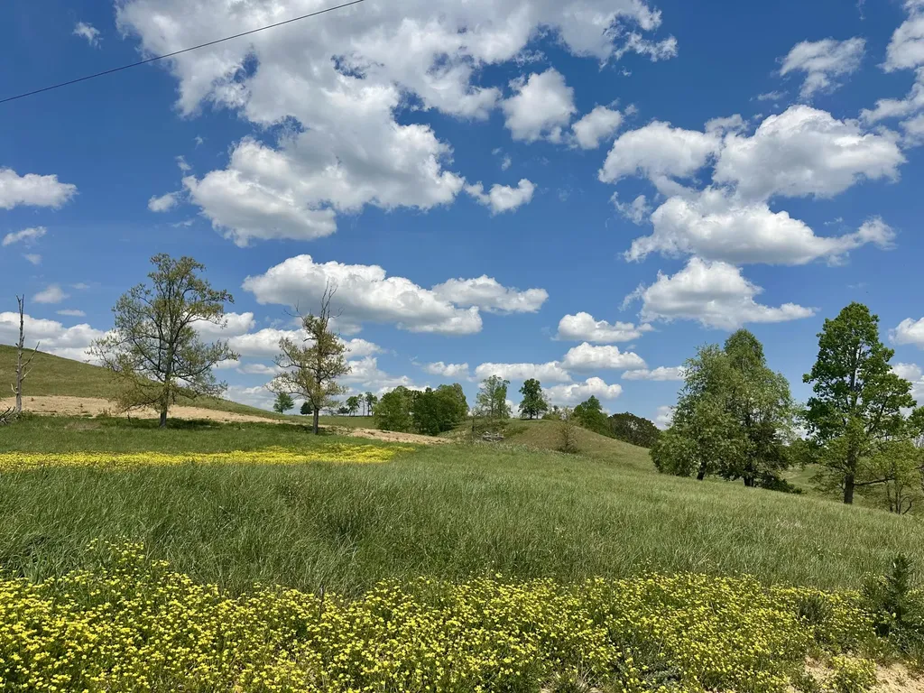 1090 Pittsburg Landing London KY 40741