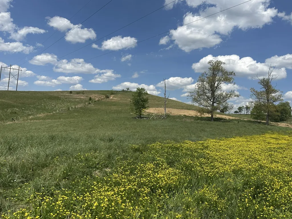 1090 Pittsburg Landing London KY 40741