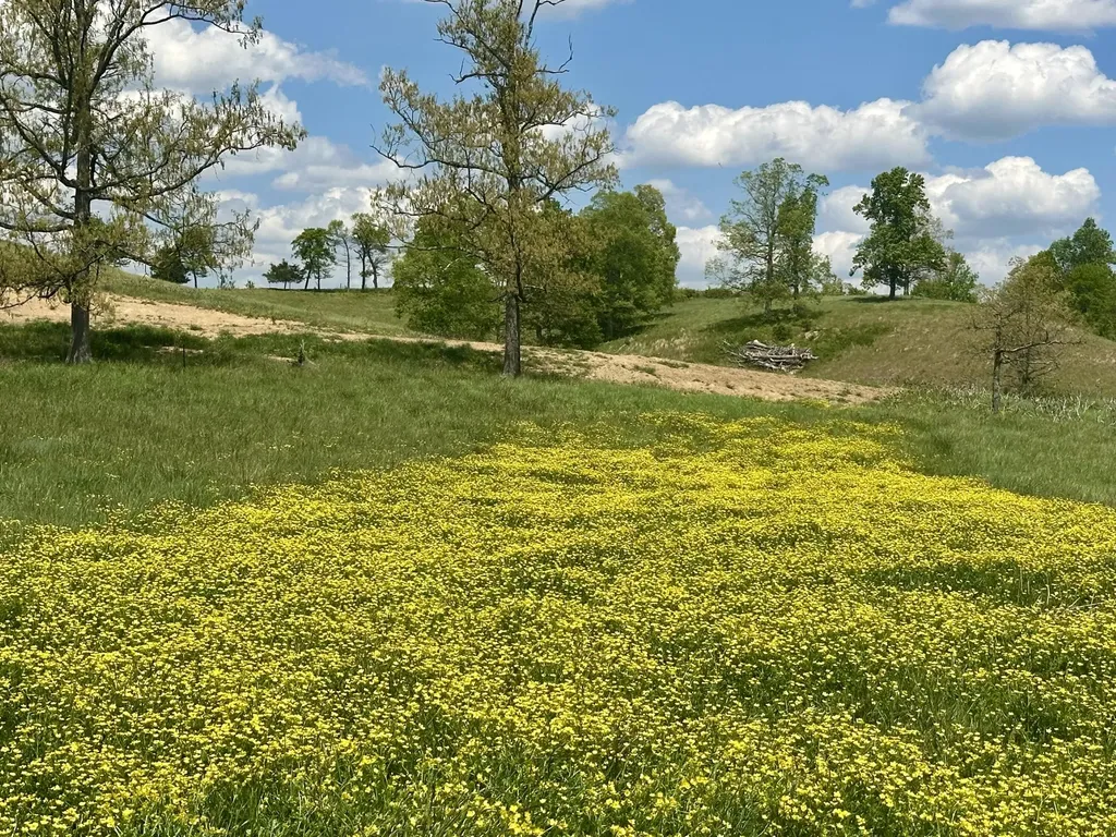1090 Pittsburg Landing London KY 40741