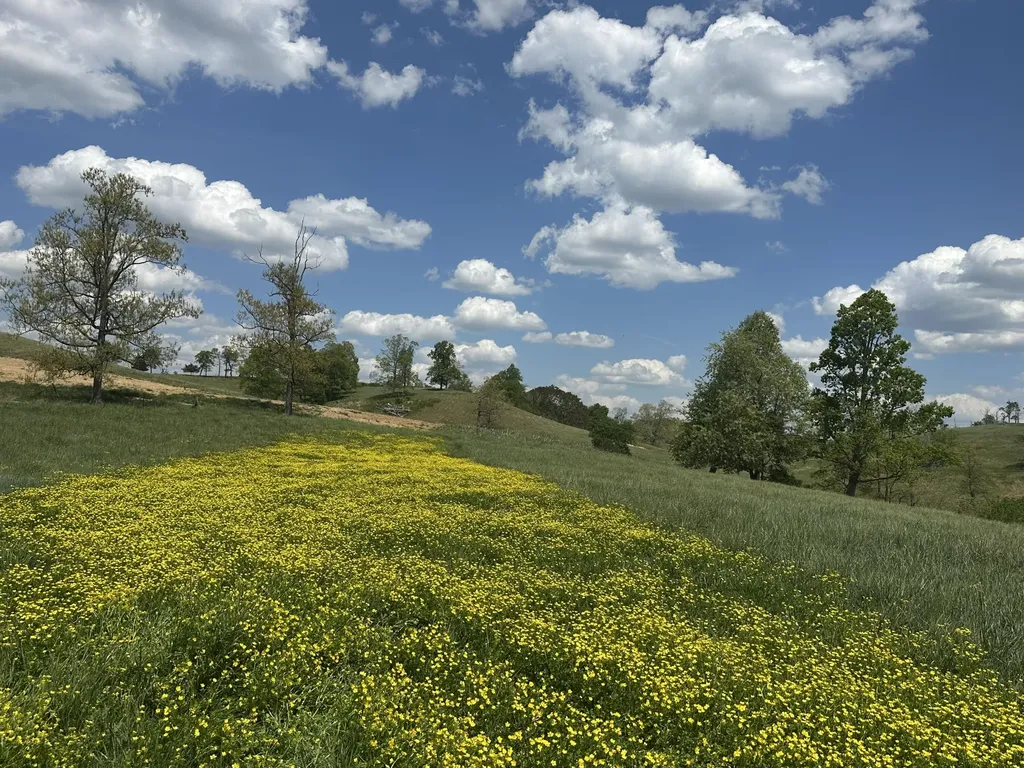 1090 Pittsburg Landing London KY 40741