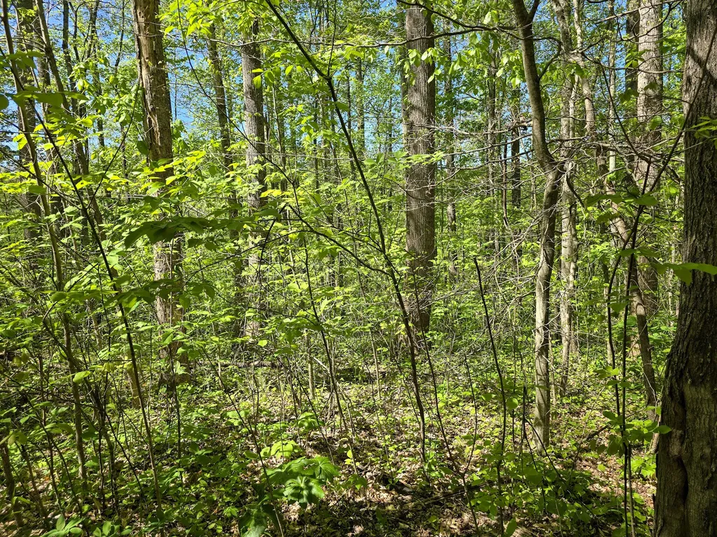 Tract C Angel Ridge Road Kings Mountain KY 40442