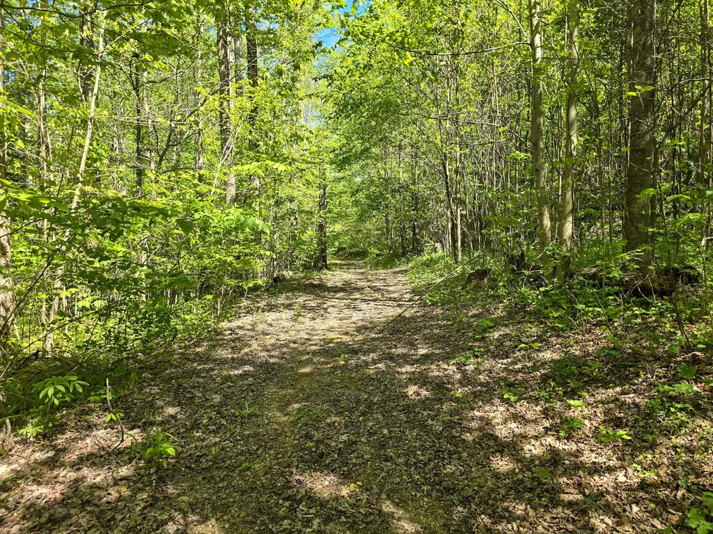 Tract C Angel Ridge Road Kings Mountain KY 40442
