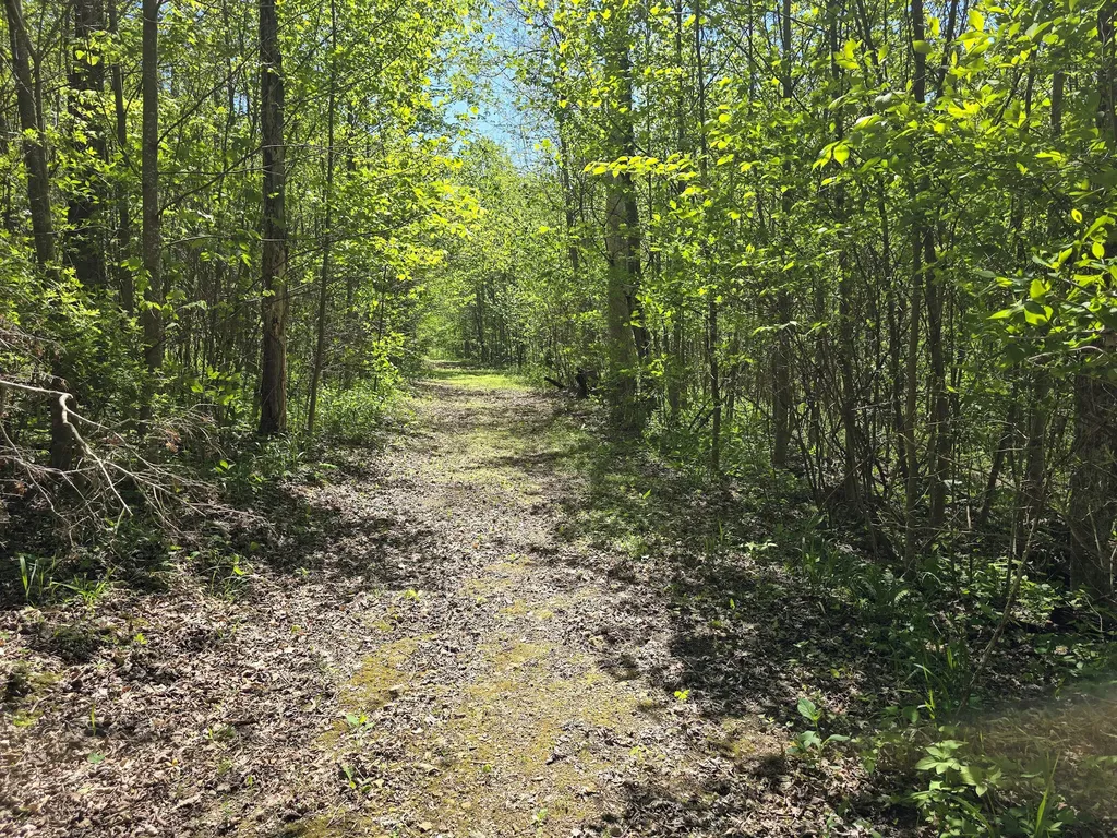 Tract C Angel Ridge Road Kings Mountain KY 40442