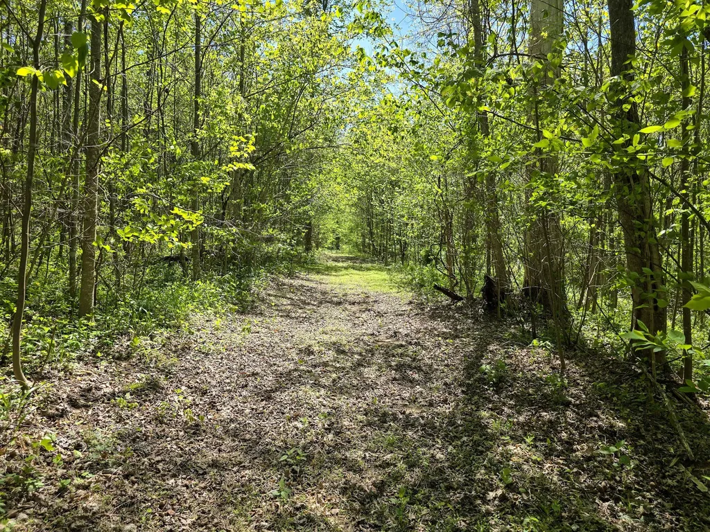 Tract C Angel Ridge Road Kings Mountain KY 40442