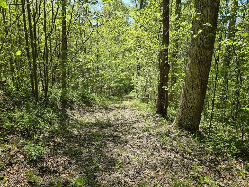 Tract C Angel Ridge Road Kings Mountain KY 40442