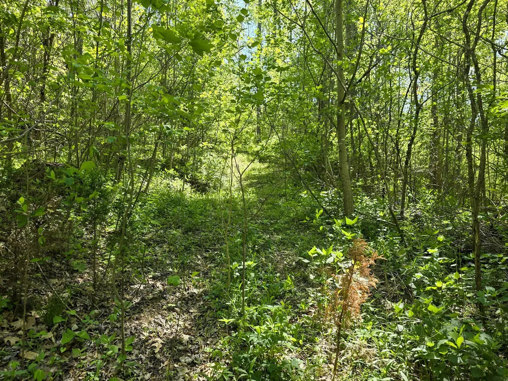 Tract C Angel Ridge Road Kings Mountain KY 40442