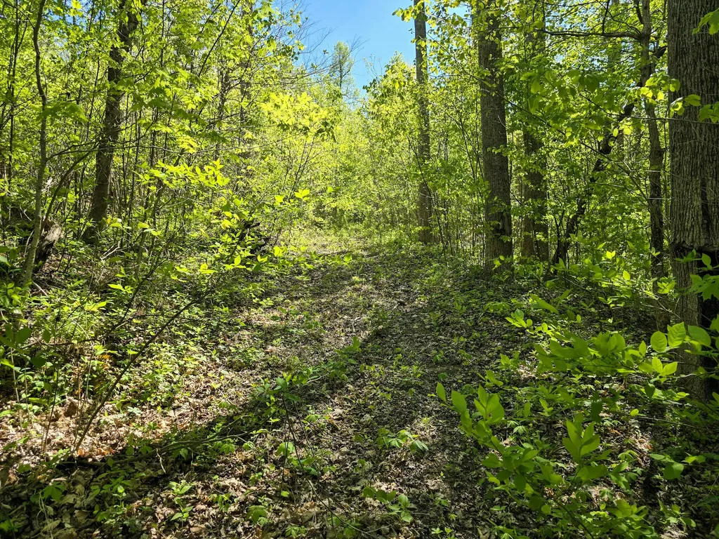 Tract C Angel Ridge Road Kings Mountain KY 40442
