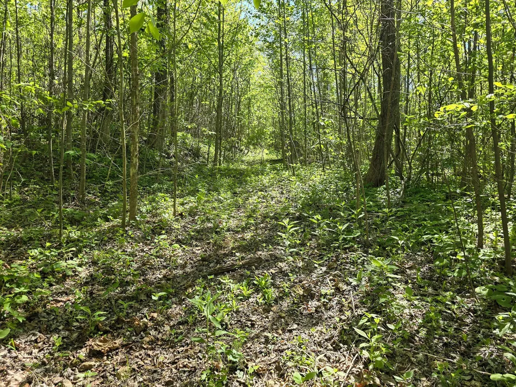 Tract C Angel Ridge Road Kings Mountain KY 40442