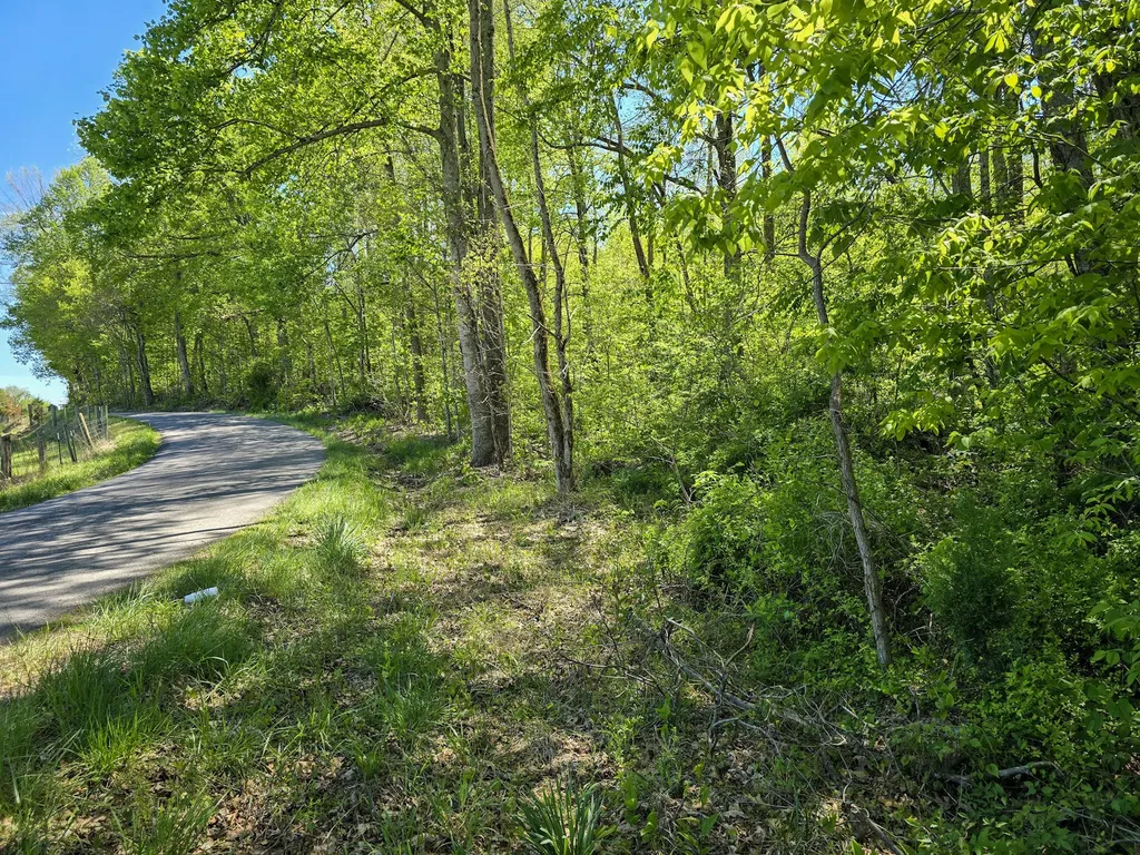 Tract C Angel Ridge Road Kings Mountain KY 40442