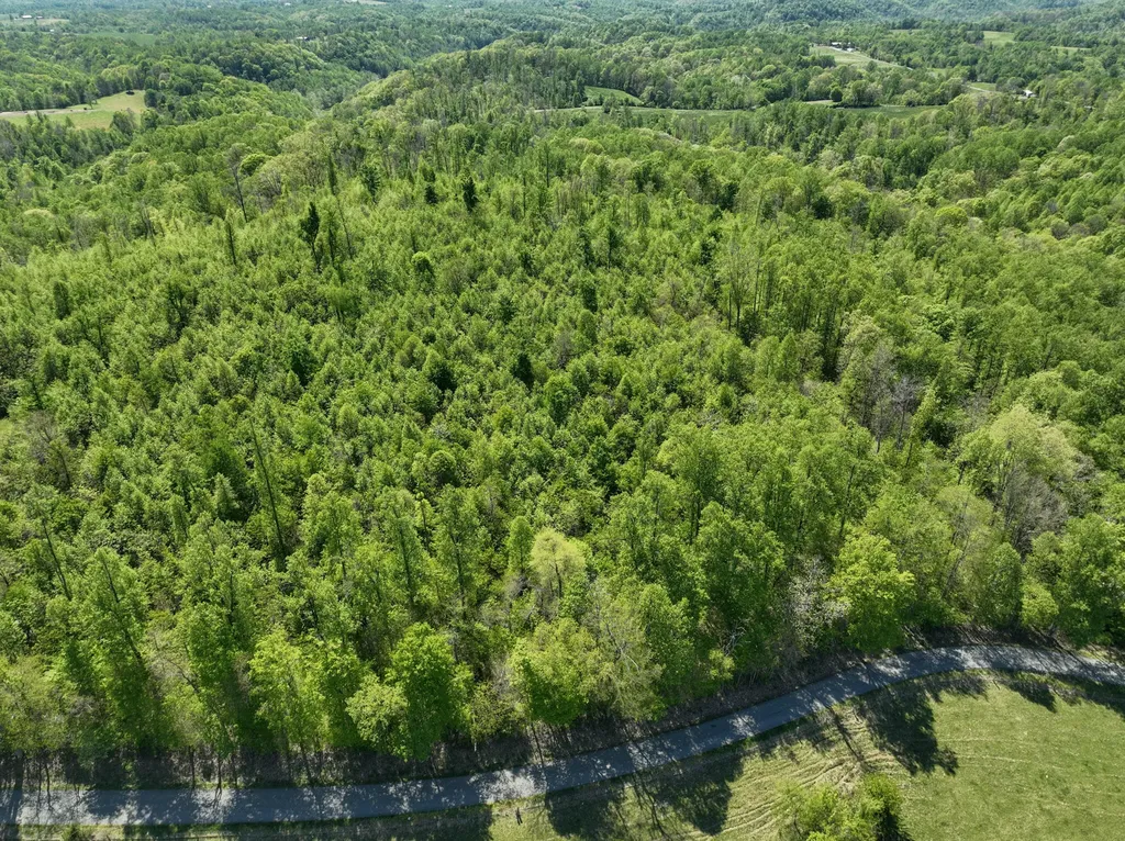 Tract C Angel Ridge Road Kings Mountain KY 40442
