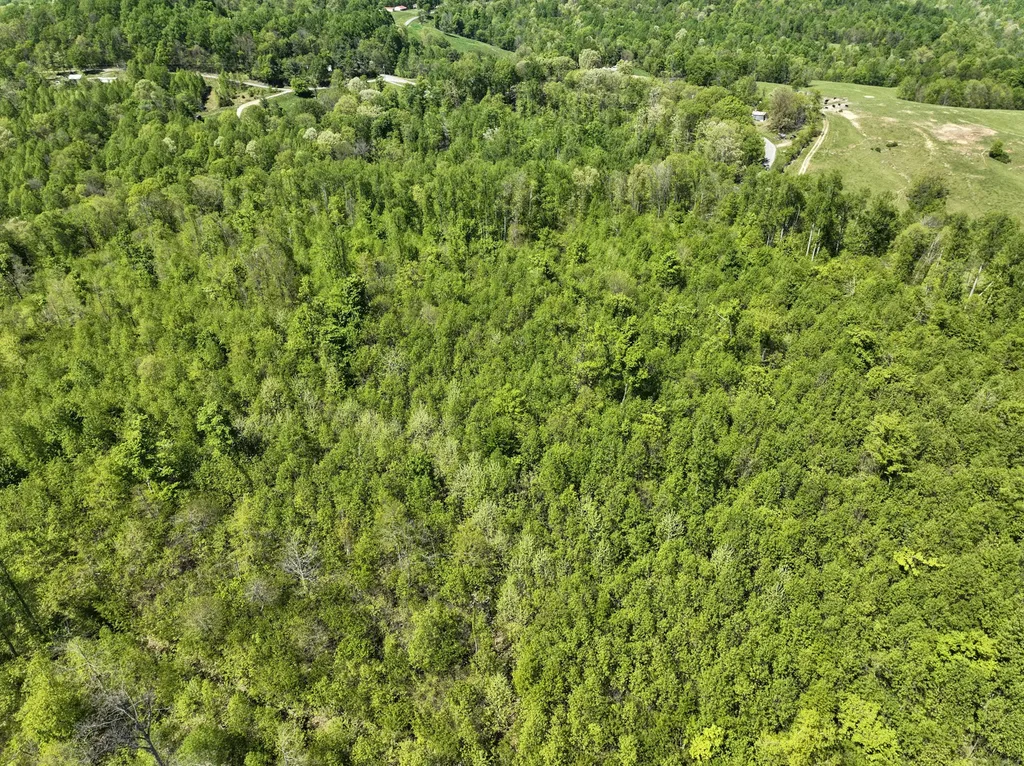 Tract C Angel Ridge Road Kings Mountain KY 40442
