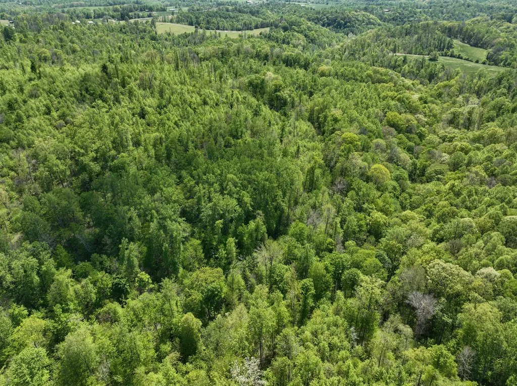 Tract C Angel Ridge Road Kings Mountain KY 40442