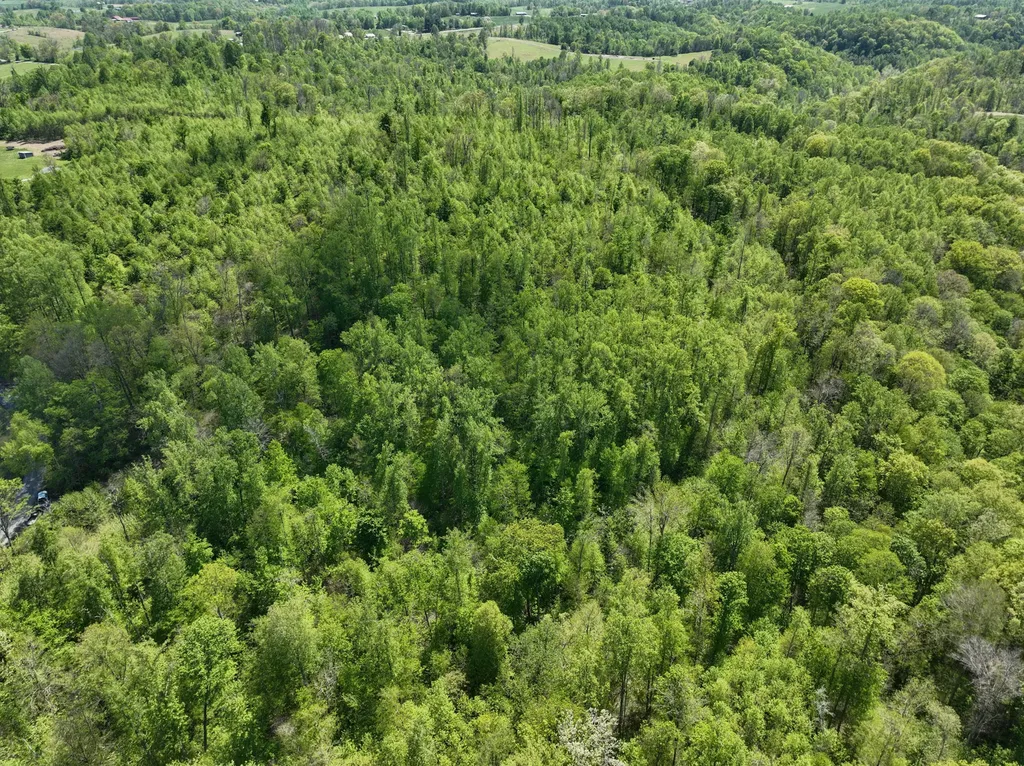 Tract C Angel Ridge Road Kings Mountain KY 40442