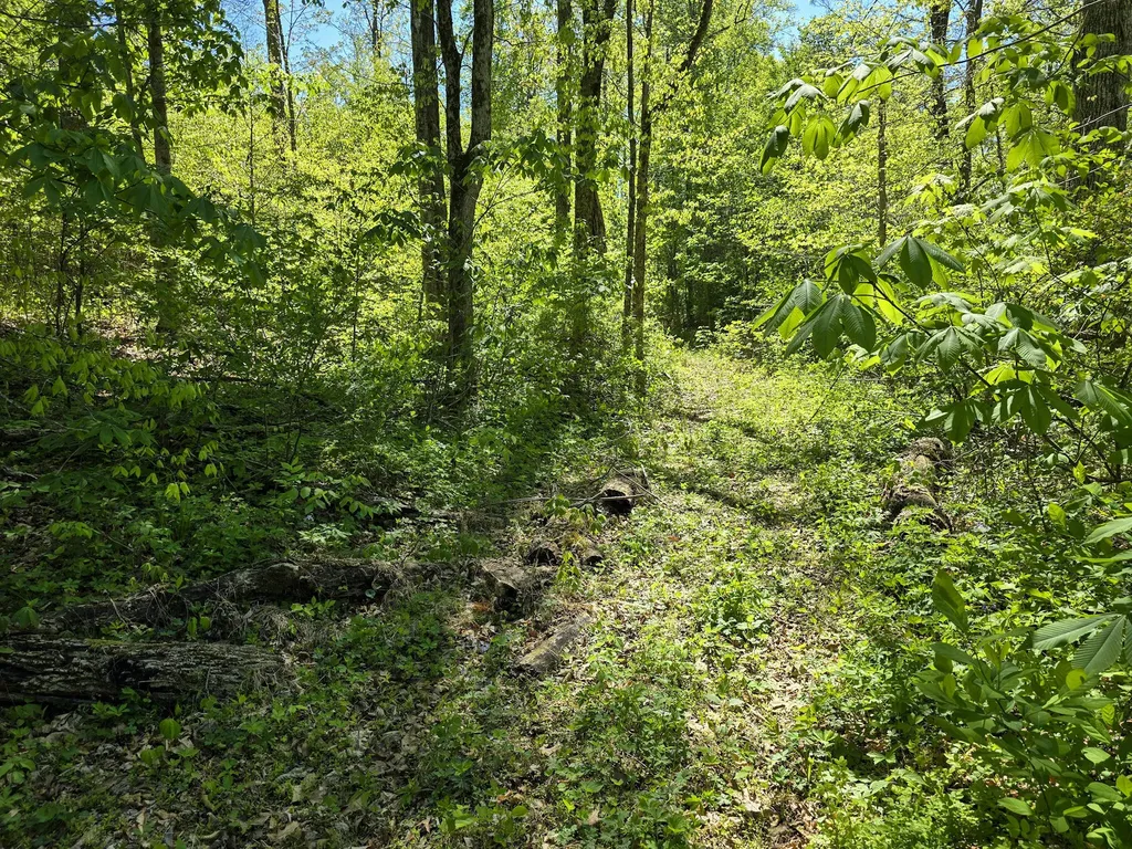 Tract C Angel Ridge Road Kings Mountain KY 40442