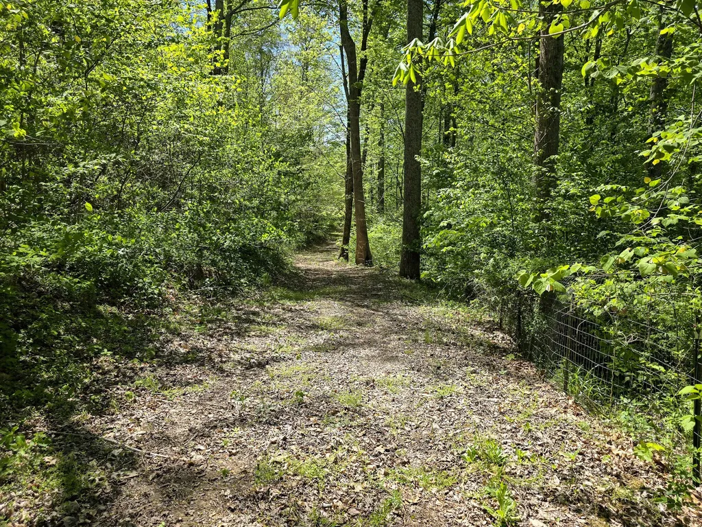 Tract C Angel Ridge Road Kings Mountain KY 40442