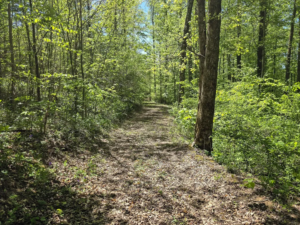 Tract C Angel Ridge Road Kings Mountain KY 40442