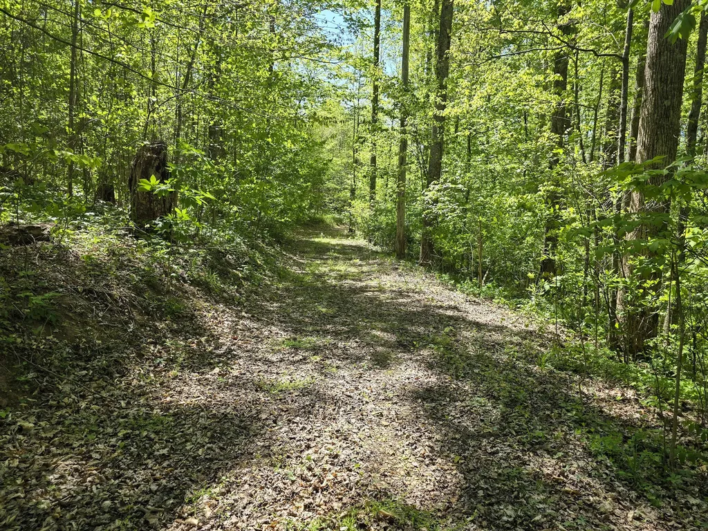 Tract C Angel Ridge Road Kings Mountain KY 40442