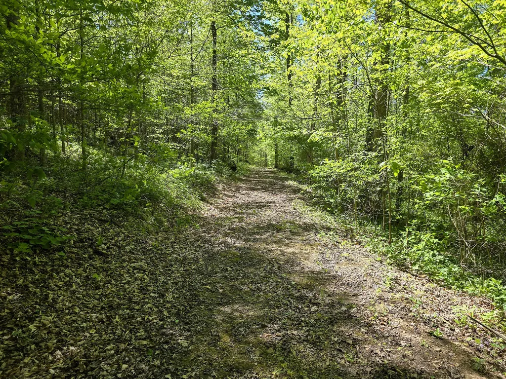 Tract C Angel Ridge Road Kings Mountain KY 40442