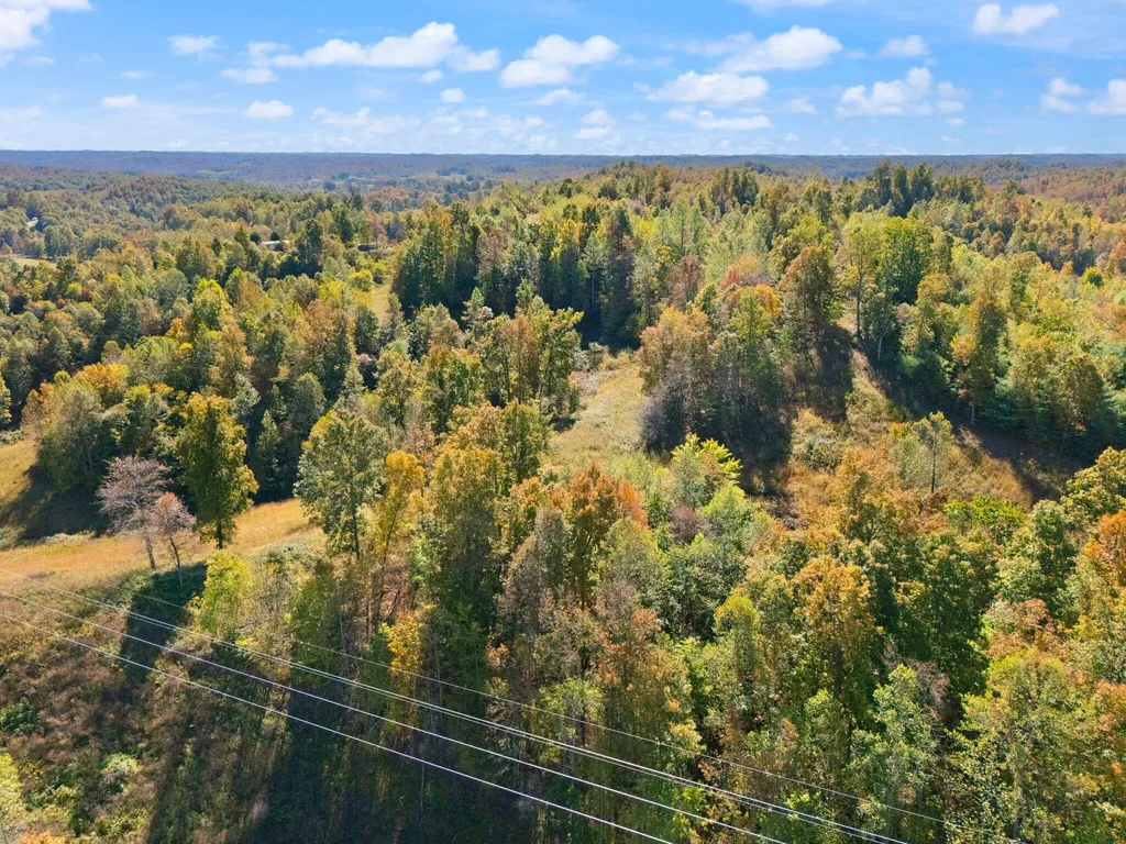 458 Opossum Hollow Road Wellington KY 40387