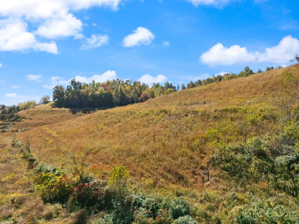458 Opossum Hollow Road Wellington KY 40387