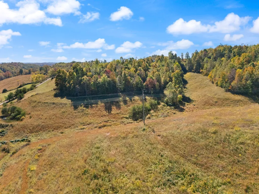 458 Opossum Hollow Road Wellington KY 40387