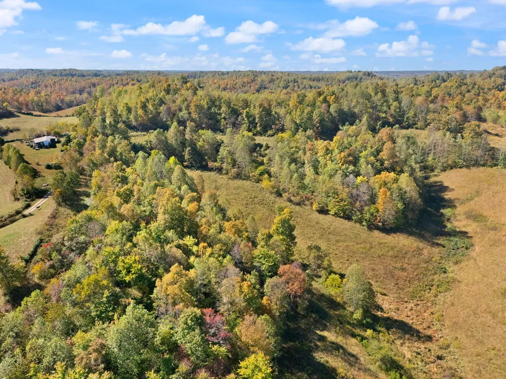 458 Opossum Hollow Road Wellington KY 40387