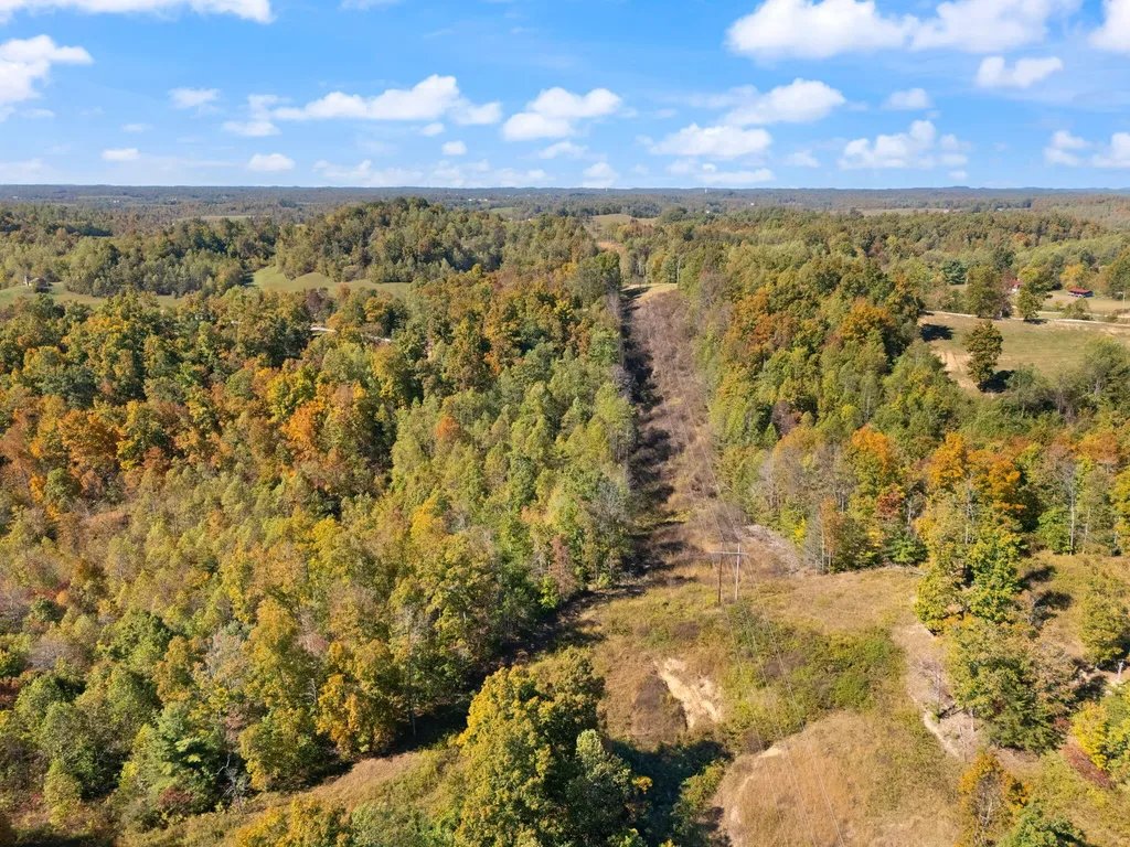 458 Opossum Hollow Road Wellington KY 40387