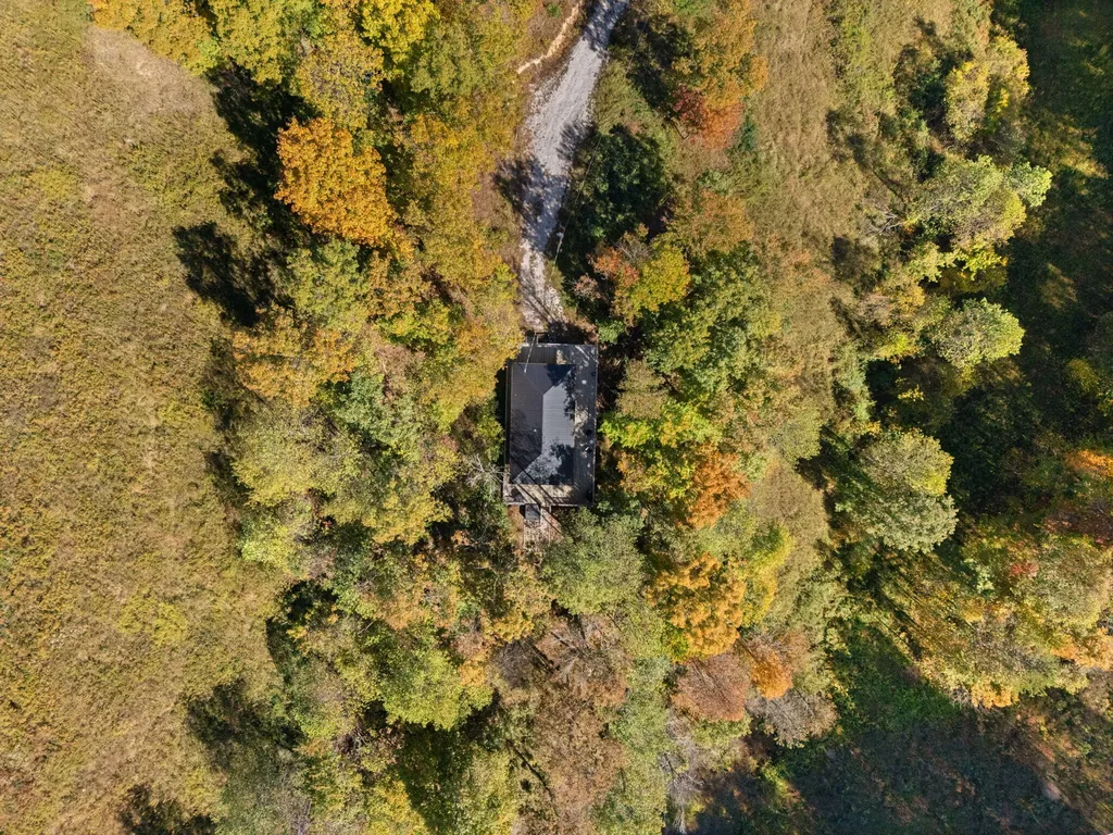 458 Opossum Hollow Road Wellington KY 40387