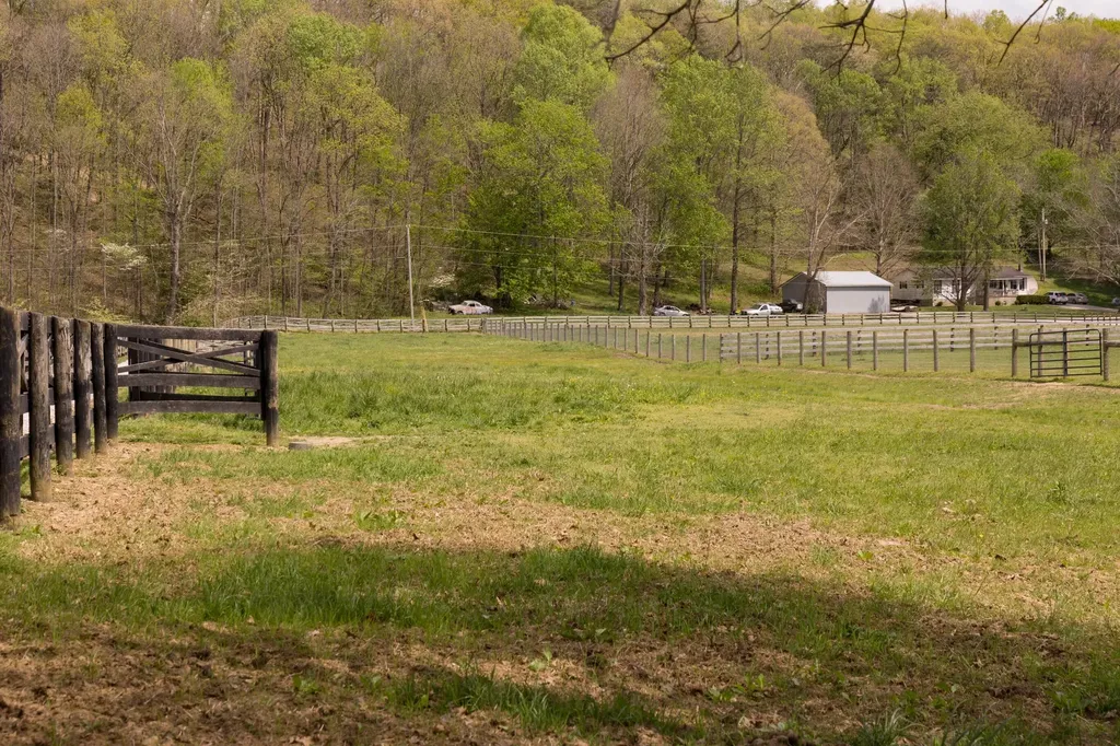 3445 Mill Creek Road Owingsville KY 40360