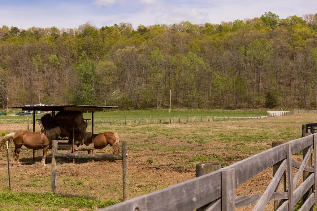 3445 Mill Creek Road Owingsville KY 40360