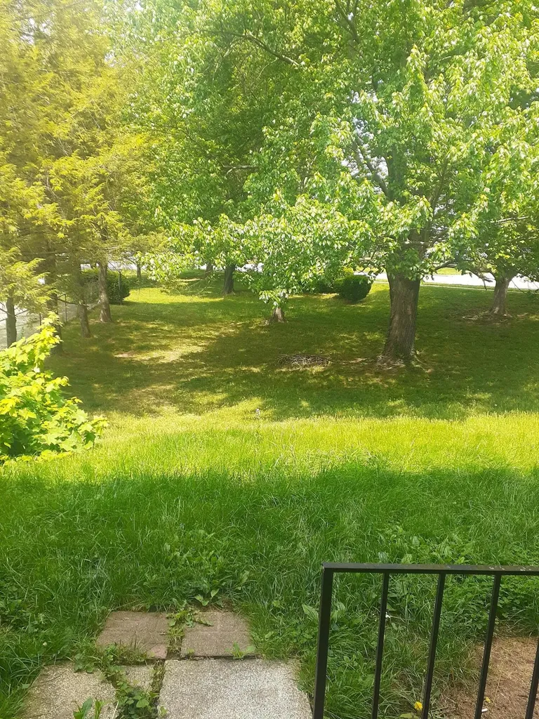 1281 Village Drive Lexington KY 40504