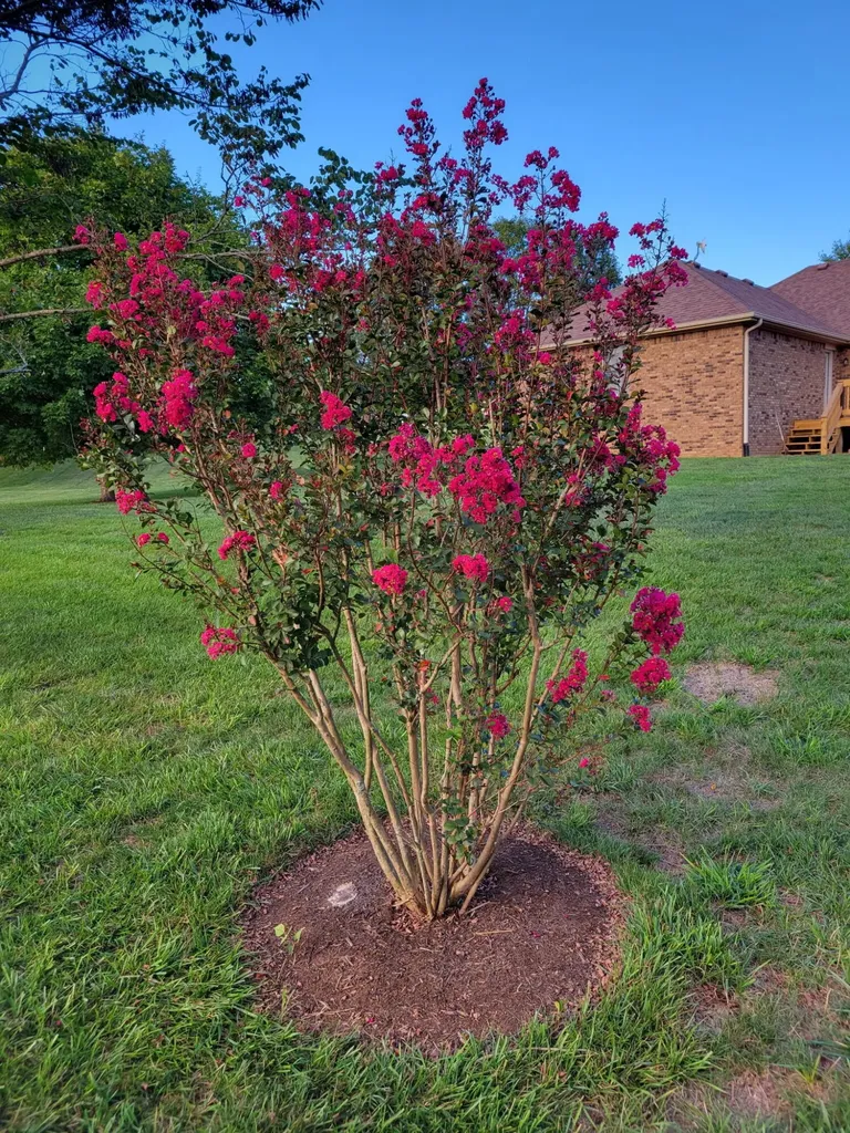 218 La Colline Harrodsburg KY 40330