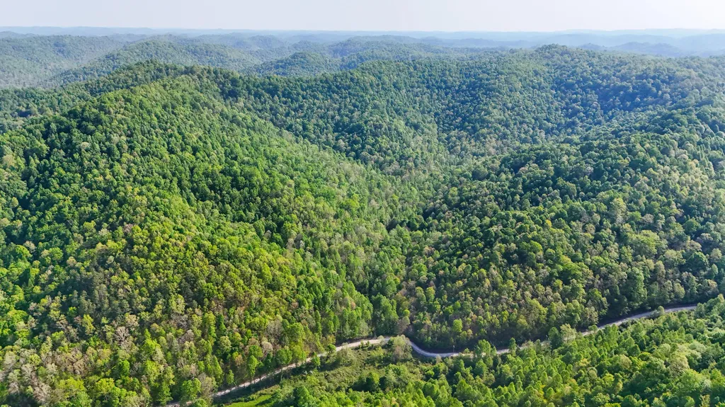 0 Hawn Branch Road Hinkle KY 40953