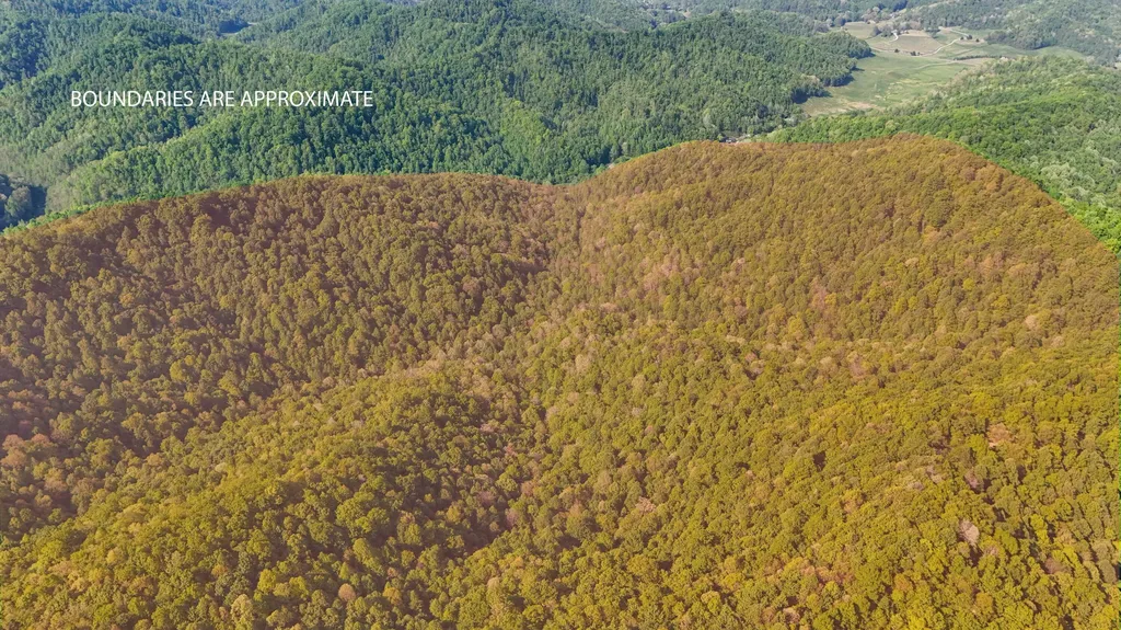 0 Hawn Branch Road Hinkle KY 40953