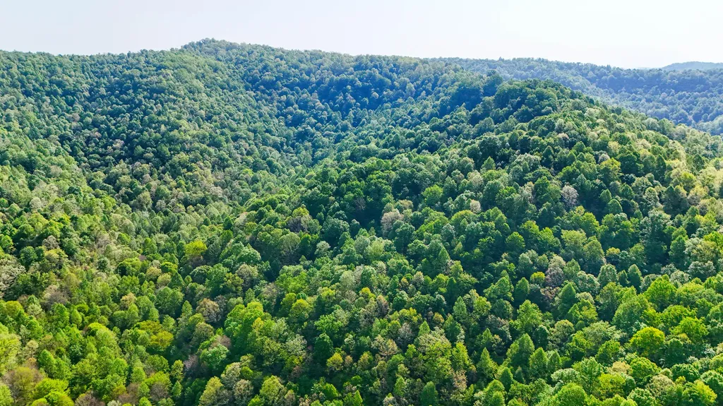 0 Hawn Branch Road Hinkle KY 40953