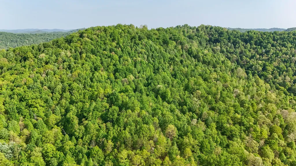 0 Hawn Branch Road Hinkle KY 40953