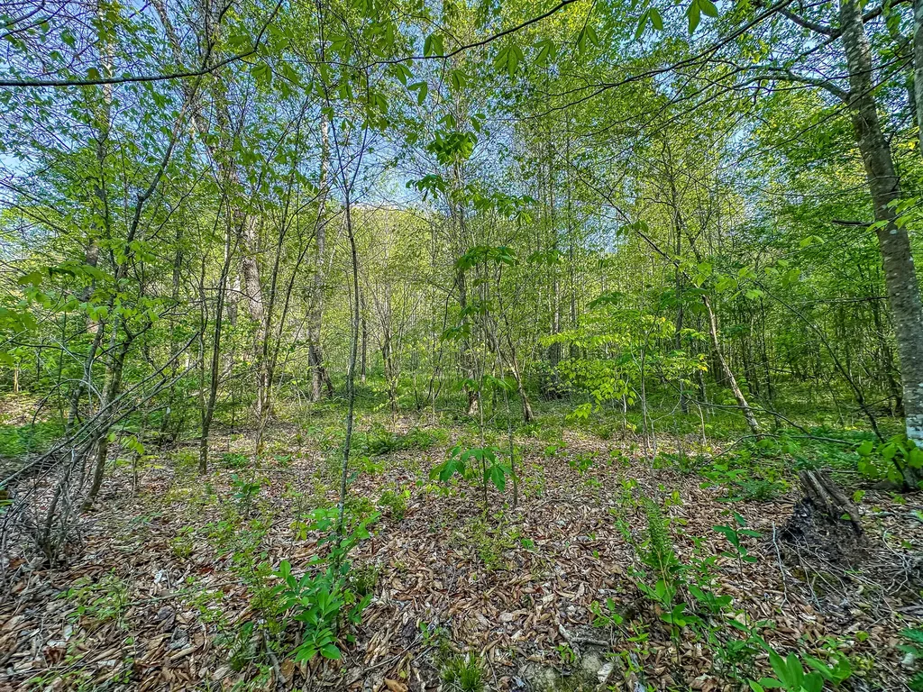 0 Hawn Branch Road Hinkle KY 40953