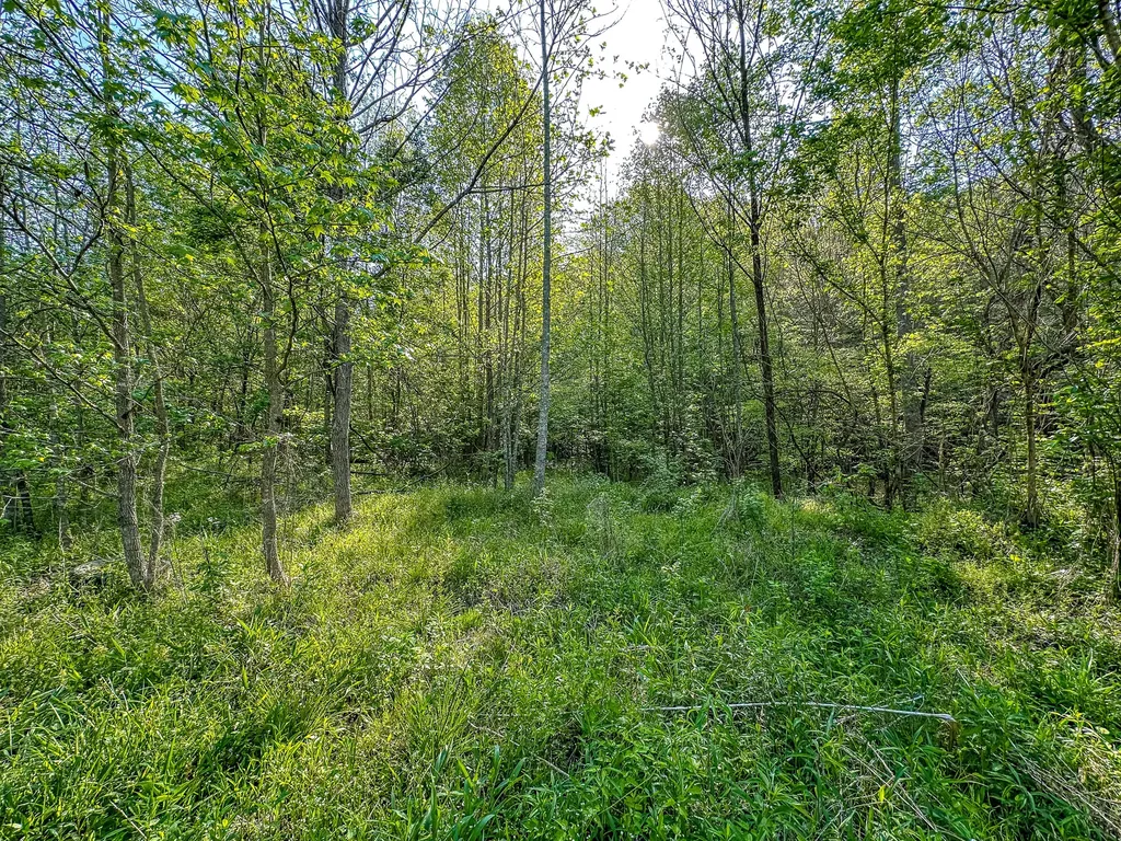 0 Hawn Branch Road Hinkle KY 40953