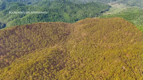 0 Hawn Branch Road Hinkle KY 40953