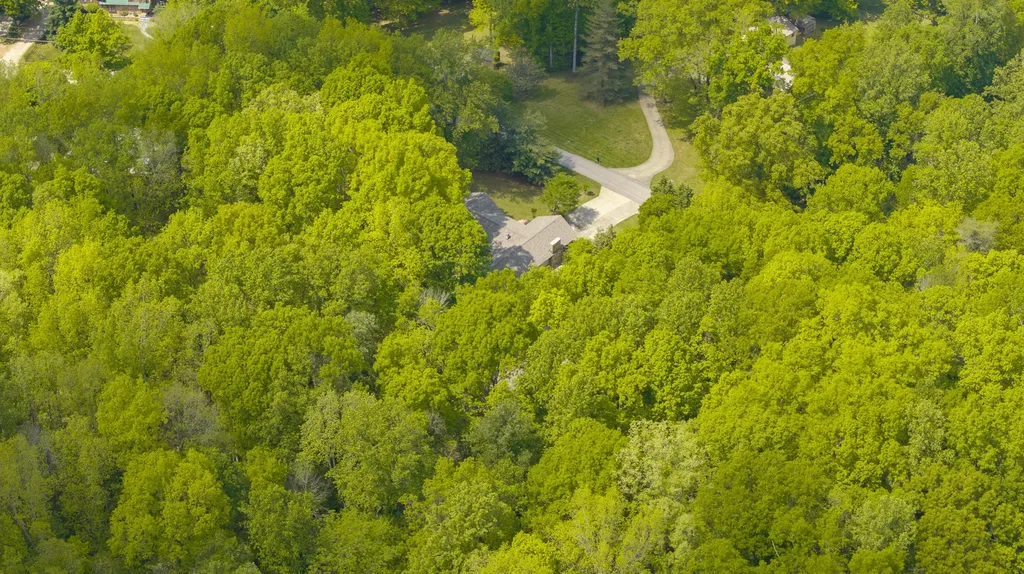 568 Castle Street Monticello KY 42633