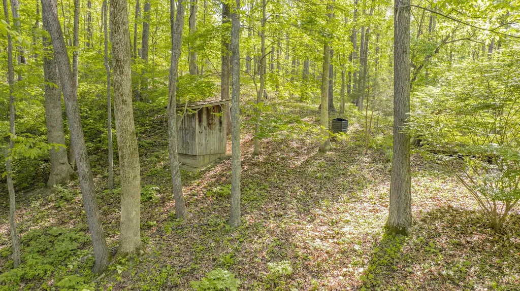 568 Castle Street Monticello KY 42633