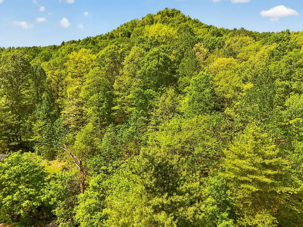 100 Abney Hollow Road Clay City KY 40312