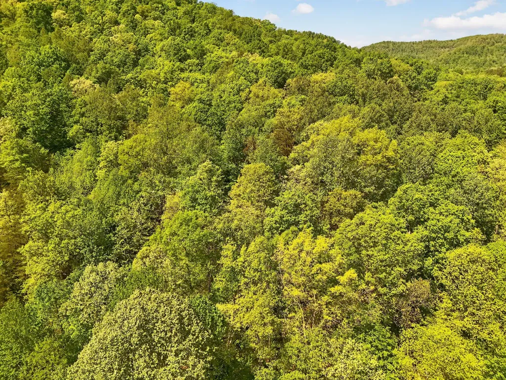 100 Abney Hollow Road Clay City KY 40312