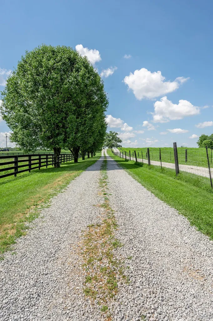 2815 Nest Egg Road Mt Sterling KY 40353