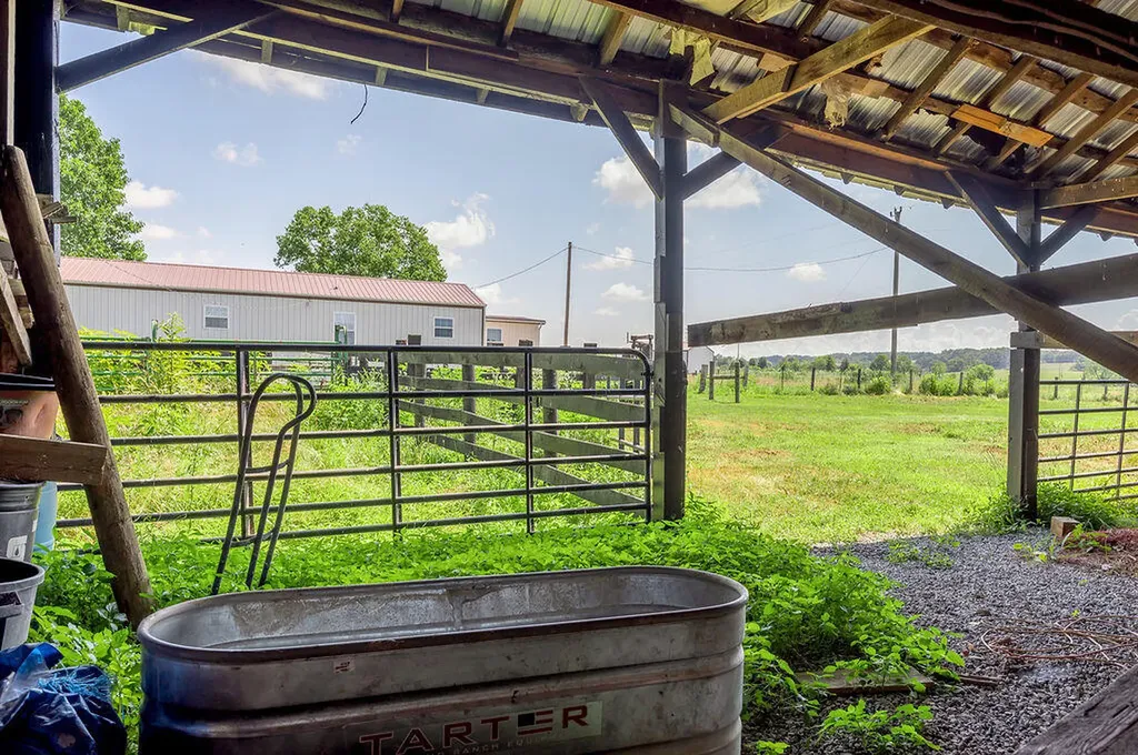 2815 Nest Egg Road Mt Sterling KY 40353