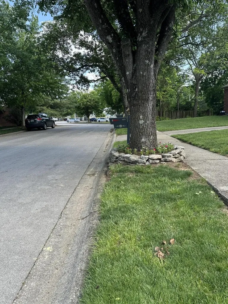 4273 Palmetto Drive Lexington KY 40513